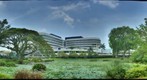 Singapore City Scenes - Water Lily Pond