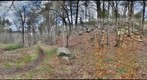 Appalachian Trail #1