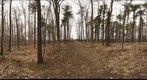 Dairy Bush GigaPan - 84 - April 06 2011