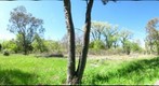Veteran's Park Trail