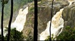 0284 Cairns Kuranda 2-12-11