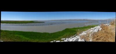 7457-400x189