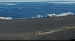 Panguins at the Cape Bird, Antarctica