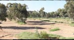 Todd River Facing North