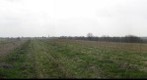 Savino, sredina, jug, 27.03.2011