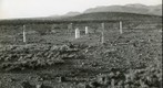 San Simon 1939: WS1-ARIZ-RS-103