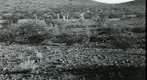 San Simon 1939: WS1-ARIZ-RS-105