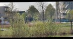 Noordhovenseplas and Zoetermeerseplas, Noord Aa, Zoetermeer, The Netherlands