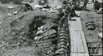 San Simon 1938: WS1-ARIZ-R-83