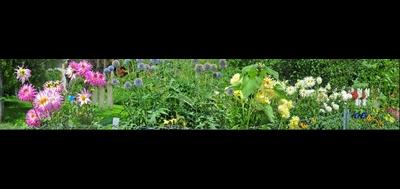 7483-400x189