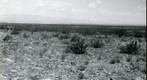 San Simon 1939: WS2-ARIZ-RS-84