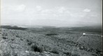San Simon 1939: WS2-ARIZ-RS-86
