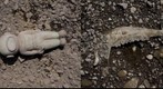 RiverBed 201100404