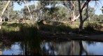 Todd River Reflections