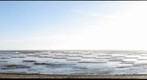 Cayucos Beach California