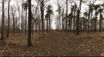 Dairy Bush GigaPan - 85 - April 13 2011