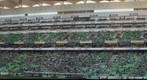 Santos vs Puebla Plateas