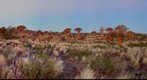 Quiver Trees
