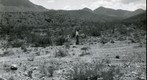 San Simon 1939: WS2-ARIZ-RS-89