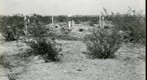 San Simon 1939: WS2-ARIZ-RS-113