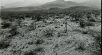 San Simon 1939: WS2-ARIZ-RS-114