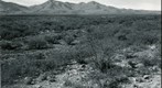 San Simon 1941: WS2-ARIZ-RS-162