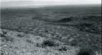 San Simon 1941: WS2-ARIZ-RS-163