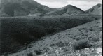 San Simon 1941: WS2-ARIZ-RS-164