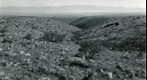 San Simon 1941: WS2-ARIZ-RS-165