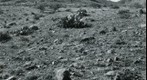 San Simon 1941: WS2-ARIZ-RS-166