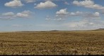 Somuncura's Profile