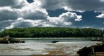Clouds on wrecks at low tide