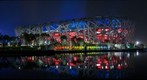 Bird's Nest: Beijing Olympic Games