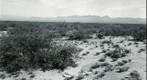San Simon 1941: WS4-ARIZ-RS-171