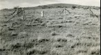 San Simon 1939: WS5-ARIZ-RS-141