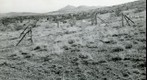 San Simon 1939: WS5-ARIZ-RS-143