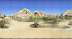 Joshua Tree 4/17/2011