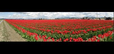 75451-400x189