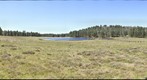 Mt Laguna Meadow
