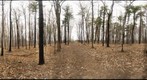 Dairy Bush GigaPan - 86 - April 20 2011