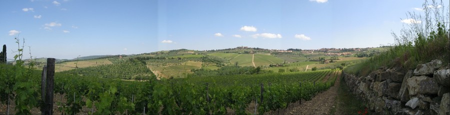 7551-900x231