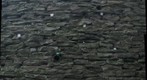 Coin Wall with Egg
