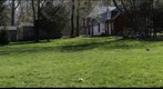 The Meadow April 2011