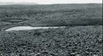 San Simon 1941: WS5-ARIZ-RS-173