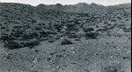 San Simon 1941: WS5-ARIZ-RS-174
