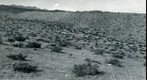 San Simon 1941: WS5-ARIZ-RS-176