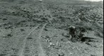 San Simon 1941: WS5-ARIZ-RS-177