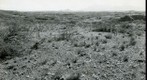 San Simon 1939: WS6-ARIZ-RS-152