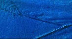 Blue Morpho Menelaus Butterfly Wing