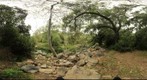CR1 2011 04 21